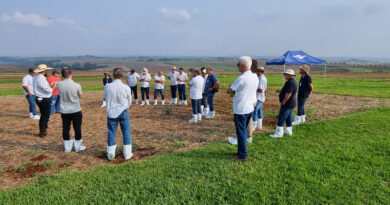 Adoção de boas práticas agrícolas comemora 10 anos de resultados no Paraná, com redução de mais de 50% no uso de inseticidas Foto: IDR-PR
