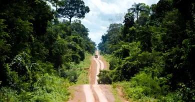 Desmatamento Amazônia - Marcelo Camargo - AB